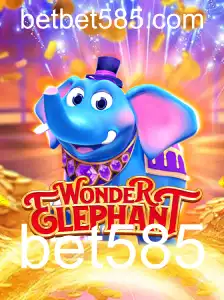 WonderElephant: Uma Jornada Selvagem no Mundo dos Jogos de Cassino